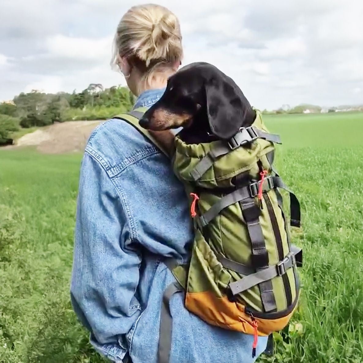 best dog backpacks for hiking Amazon Sellers: Best Combining 35+ years of dog pack experience and the aid of a local The Best Backpacks for Dogs