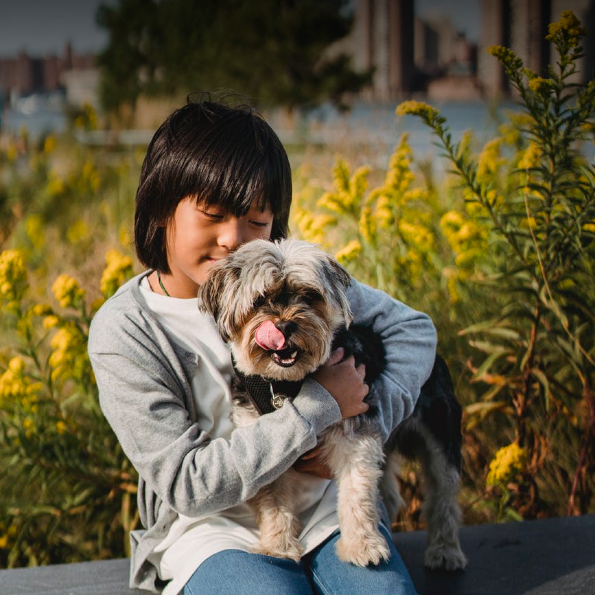 5 Things to Consider Before Getting Your Child a Dog