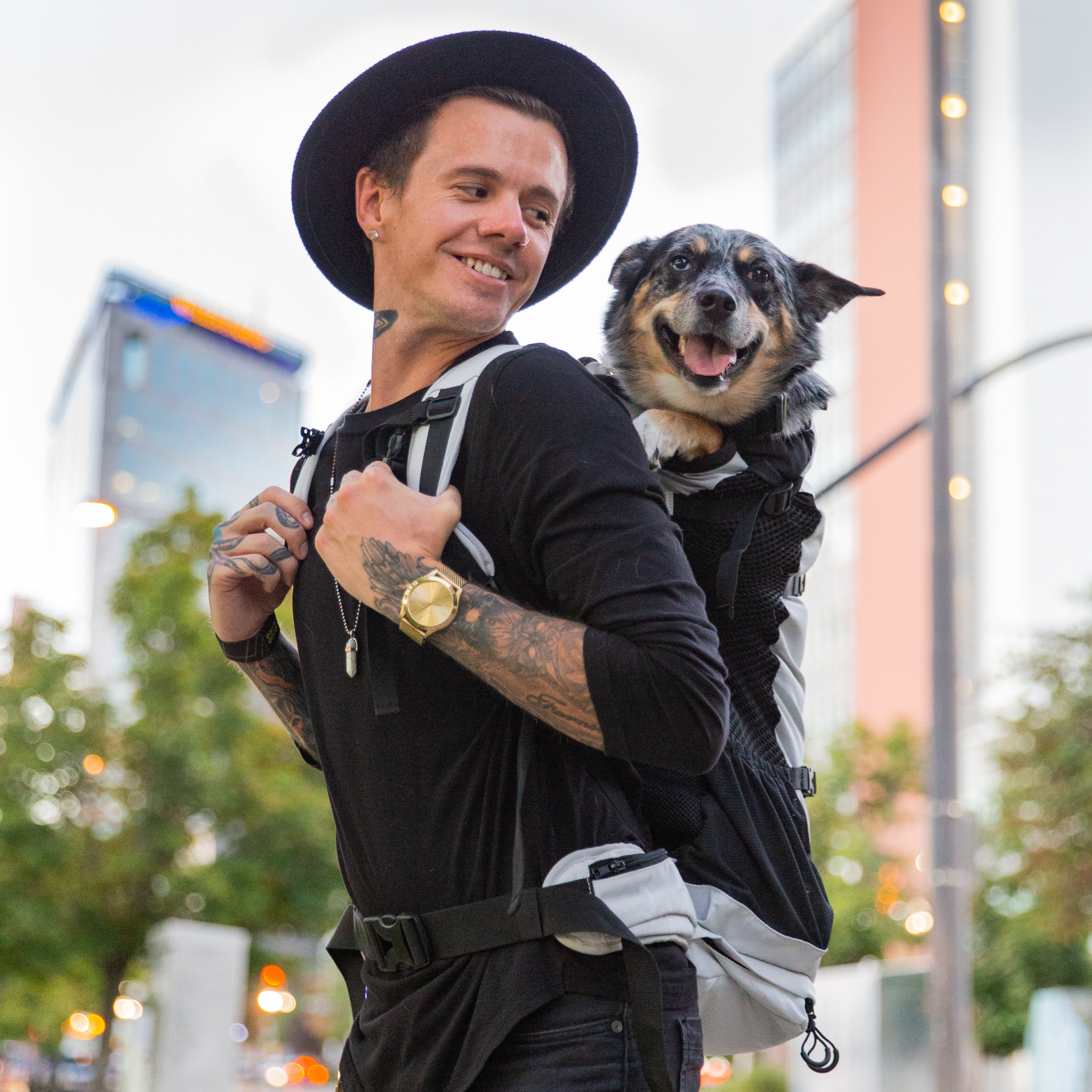 Guide to Choosing the Best Puppy Carrier