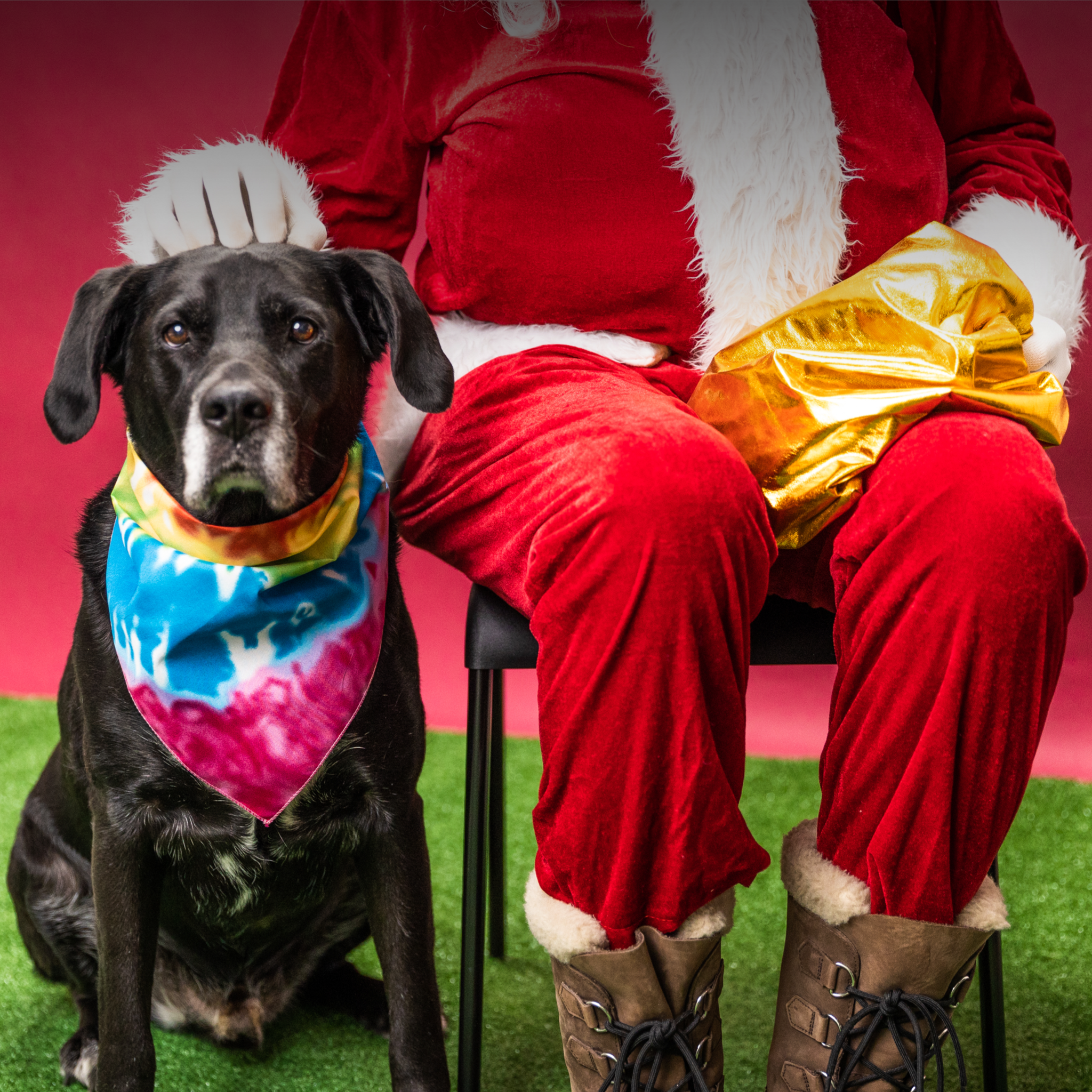 K9 Sport Sack Holiday Gift Guide 2021