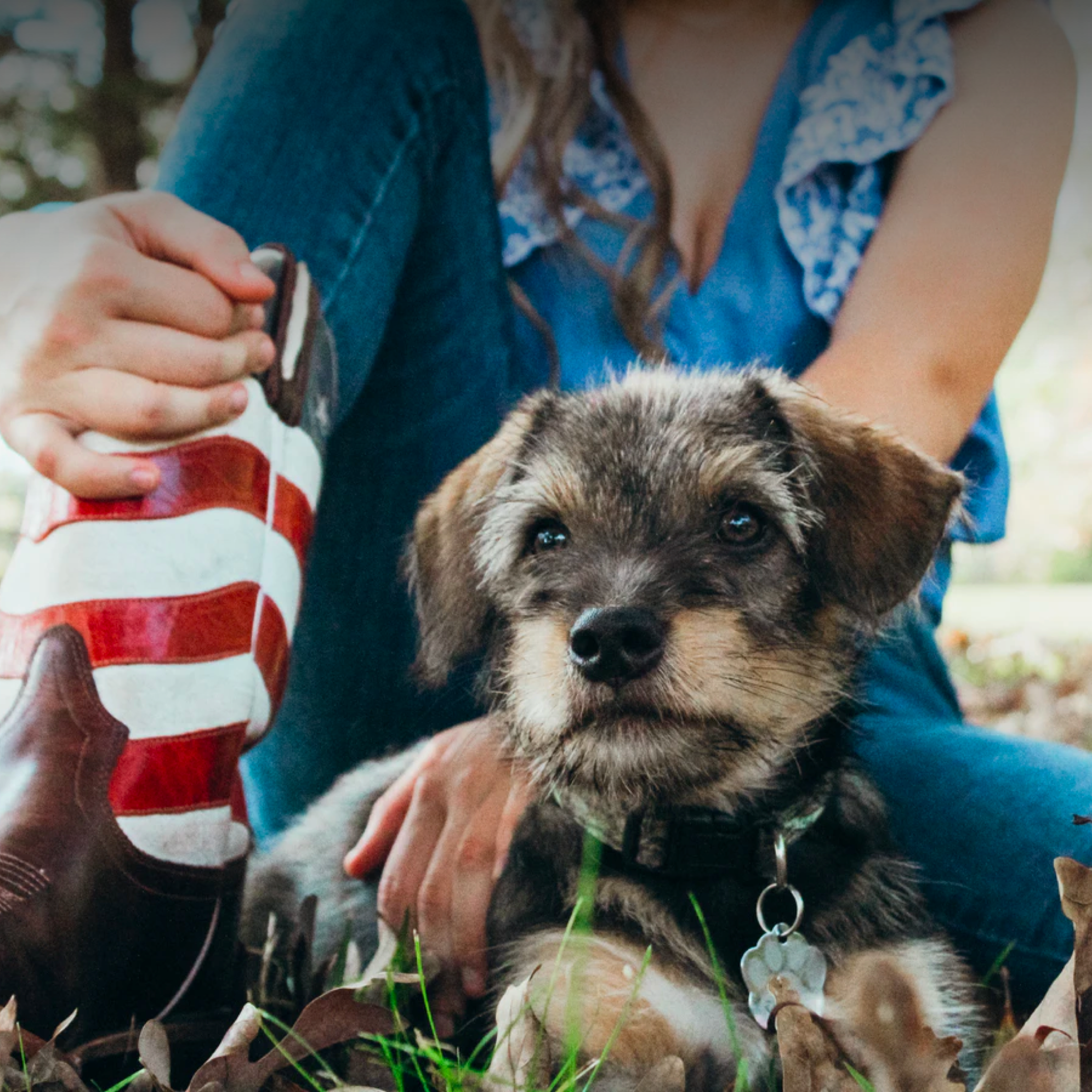 Tips for a Fun & Safe July 4th with your Dog