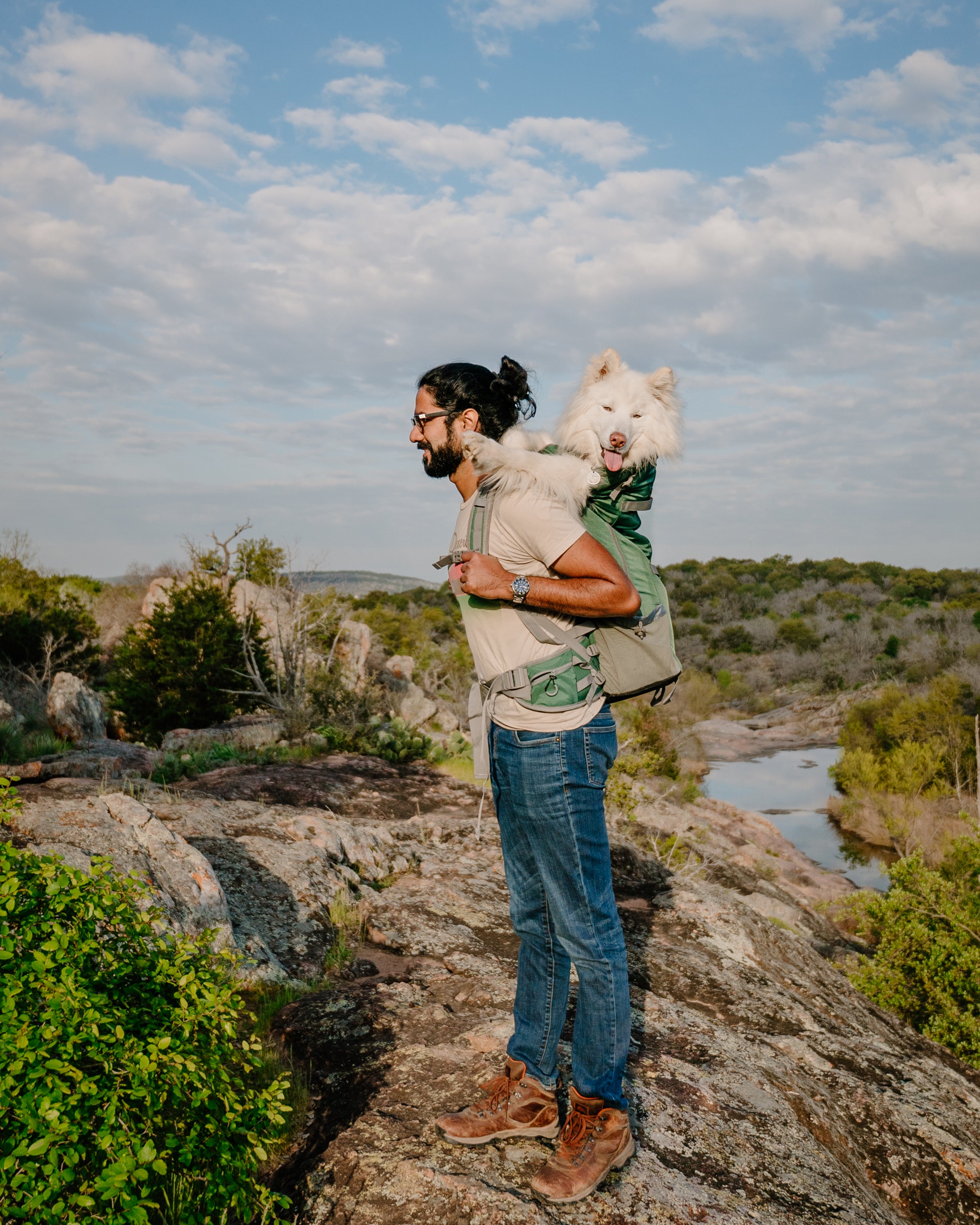 The Ultimate Guide to Choosing a Wearable Dog Carrier