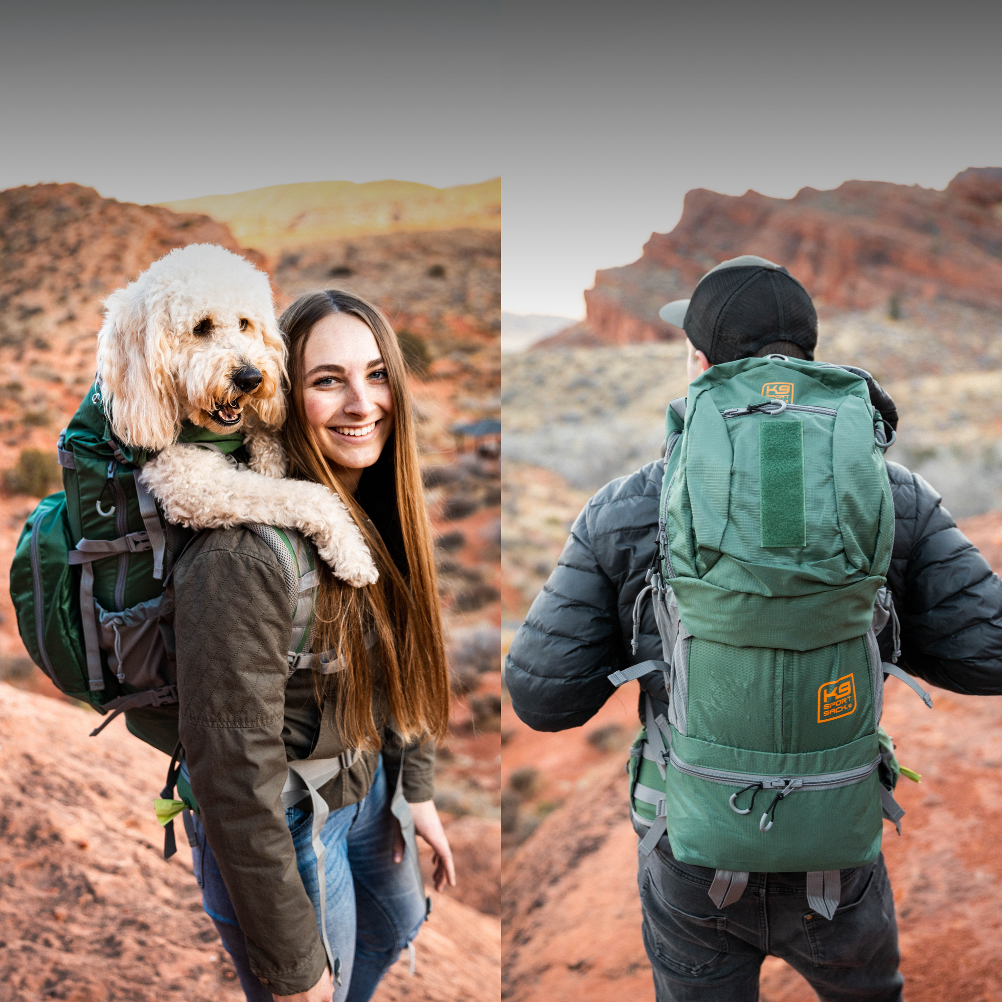 The Rover 2 Dog Carrier