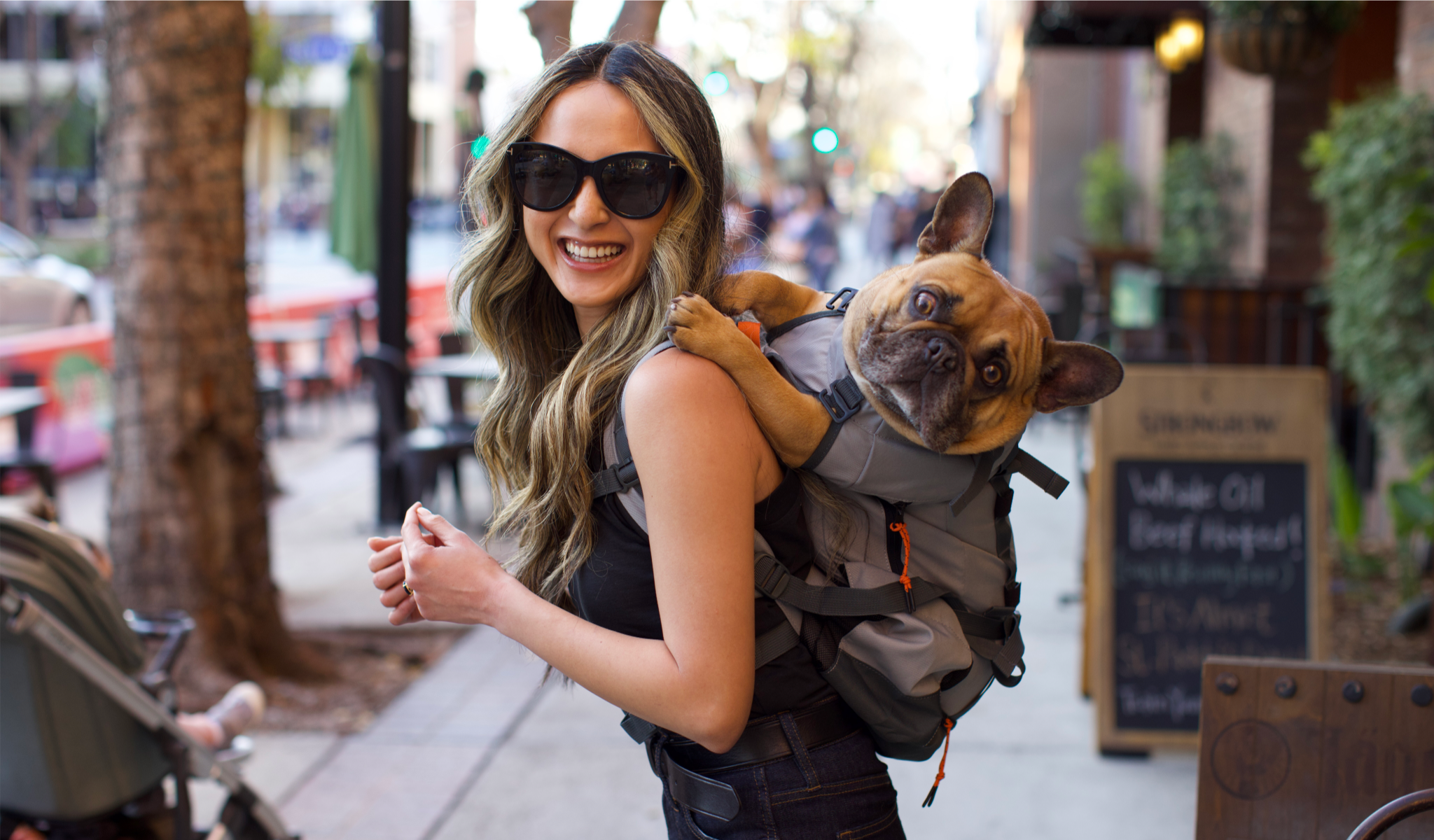 Pet carrier for french bulldog best sale