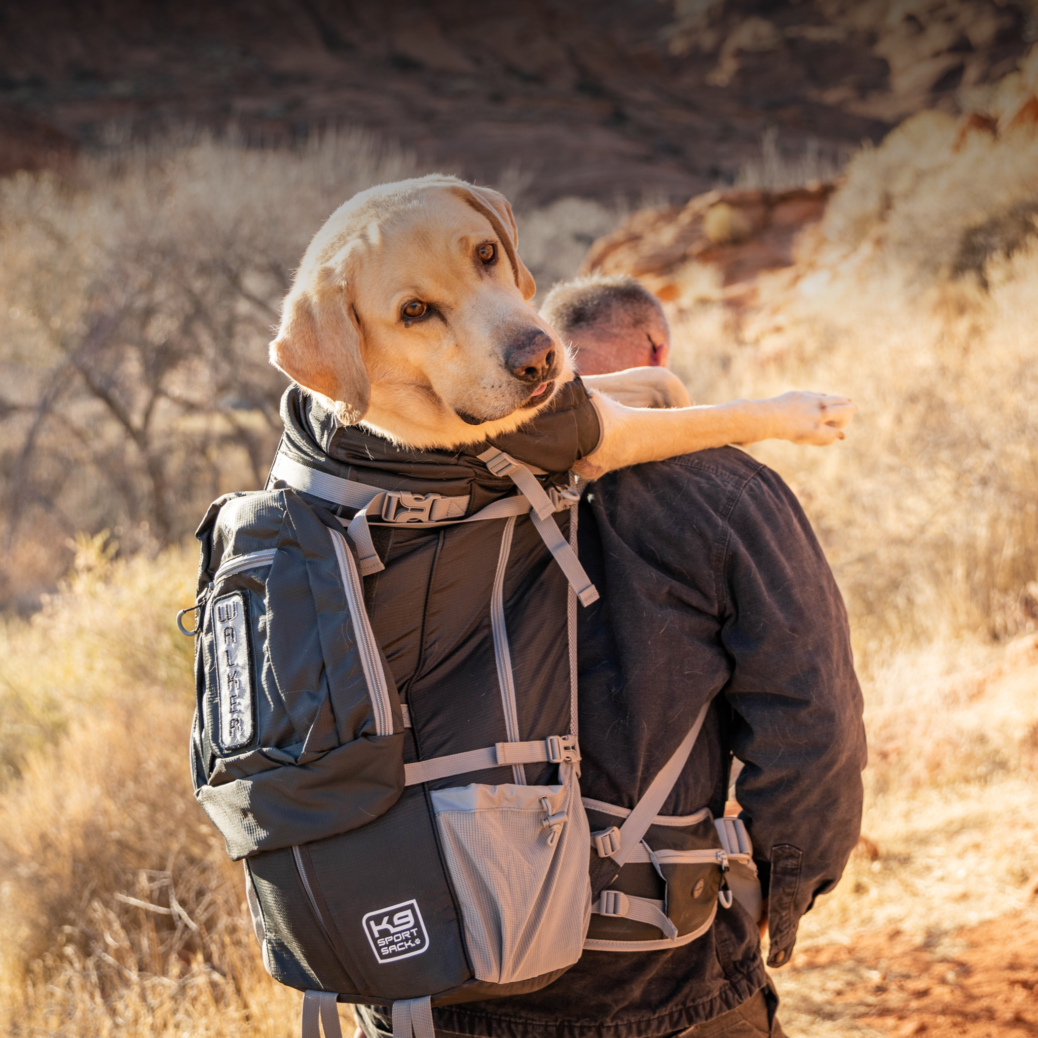 Dog Backpack