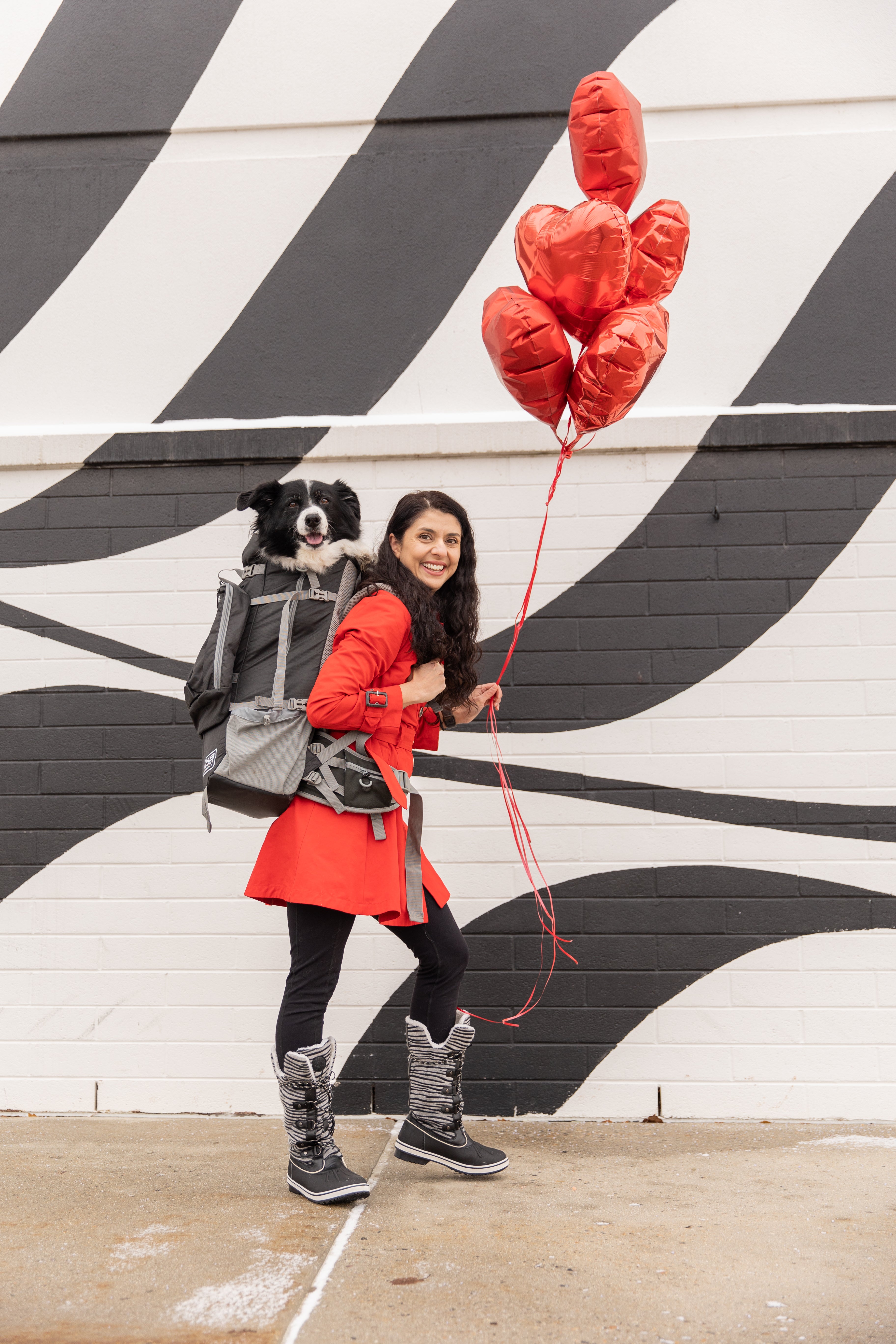 The Ultimate Guide to Labrador Retriever Backpack Carriers