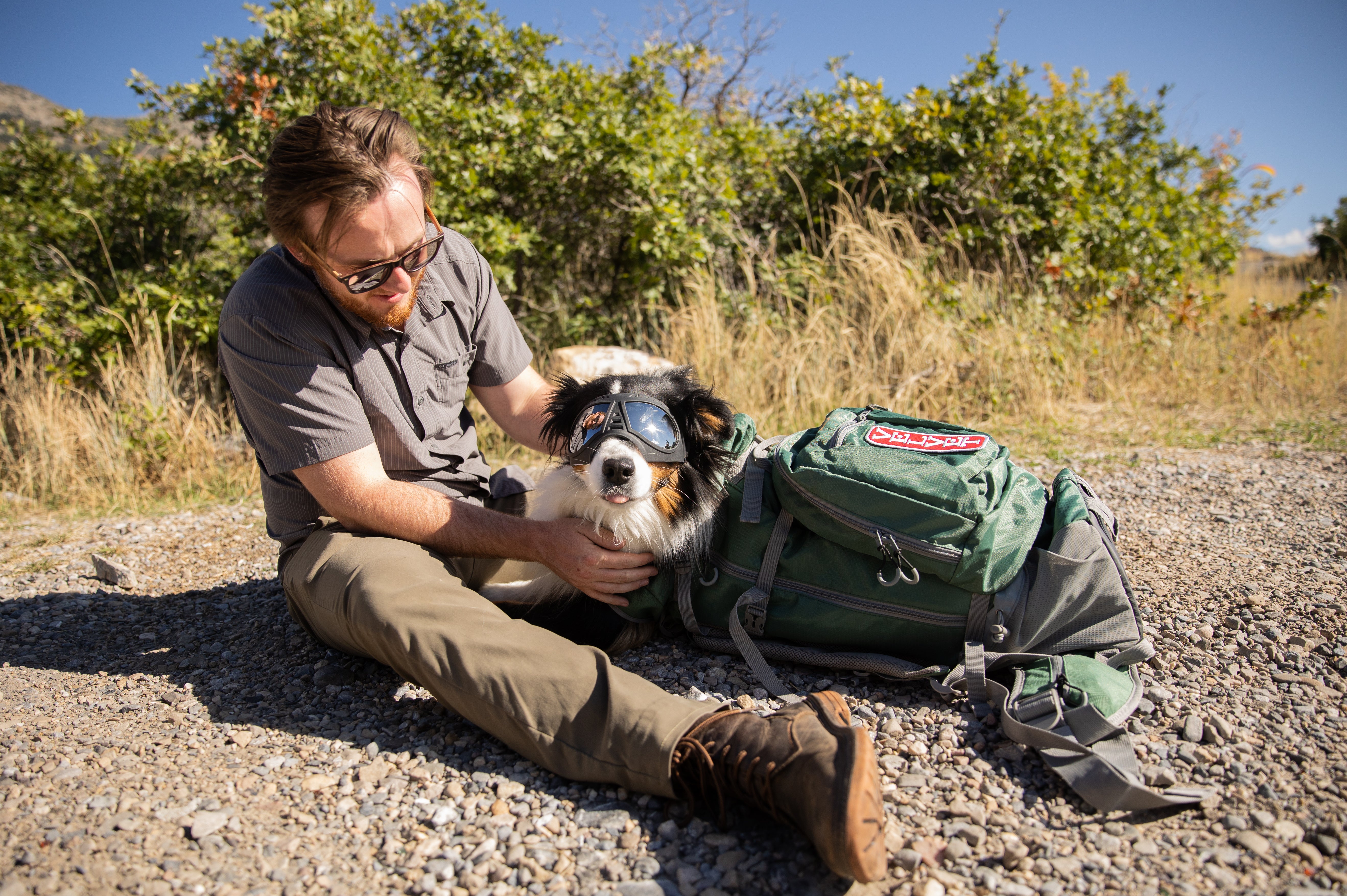 The Best German Shorthaired Pointer Backpack Carrier
