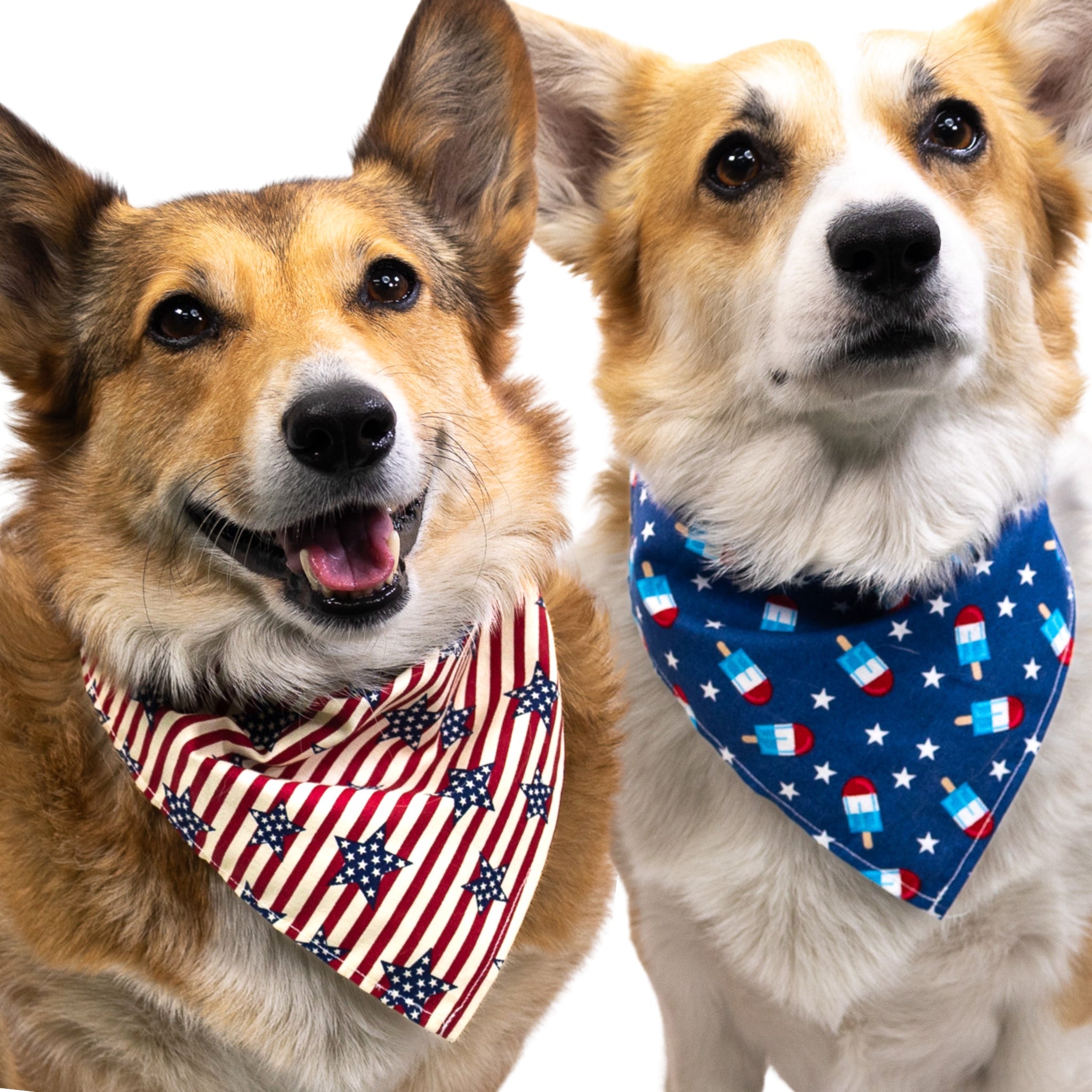 American dog bandana best sale