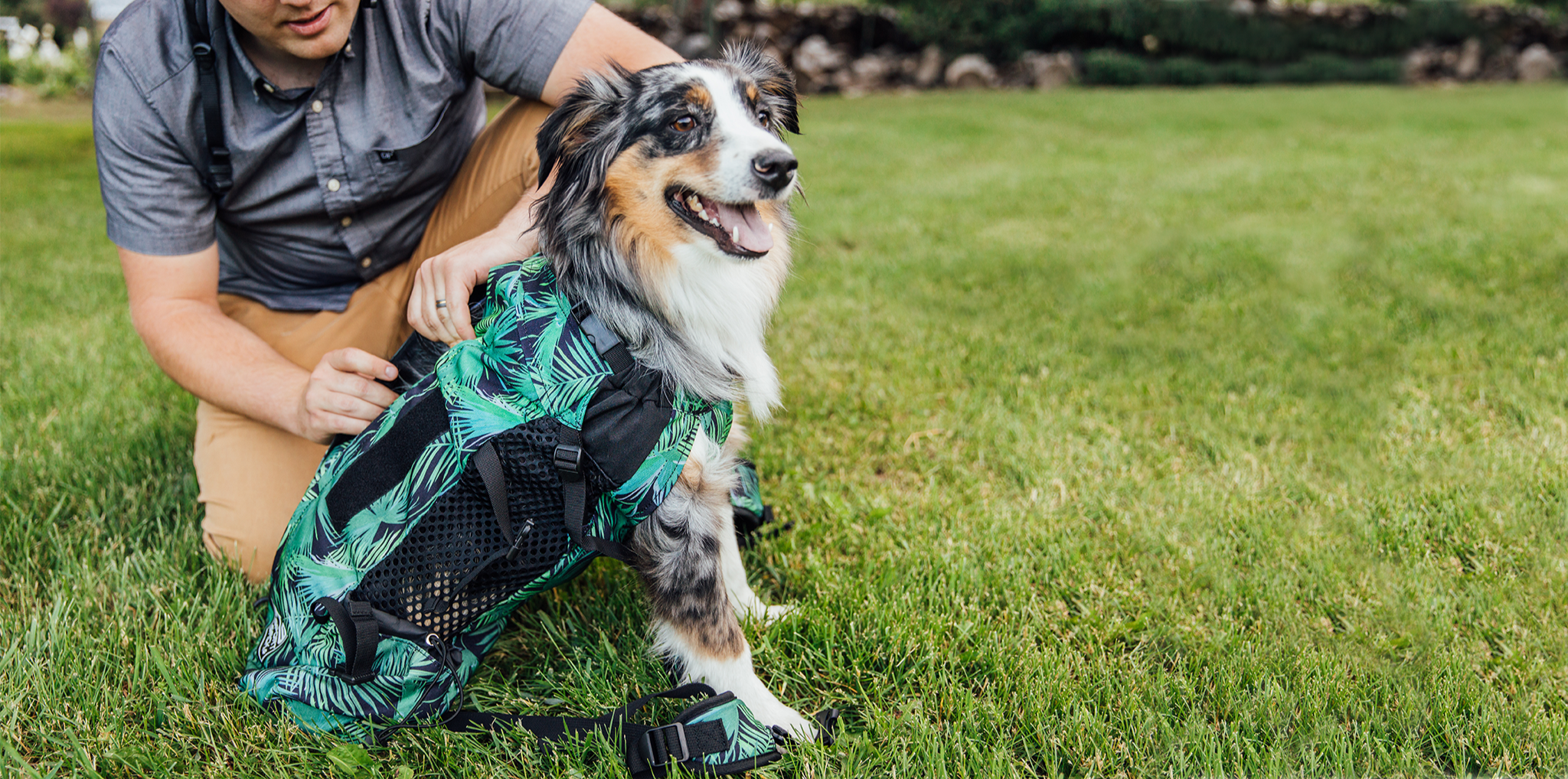 How_to_get_your_dog_in_Landscape.png