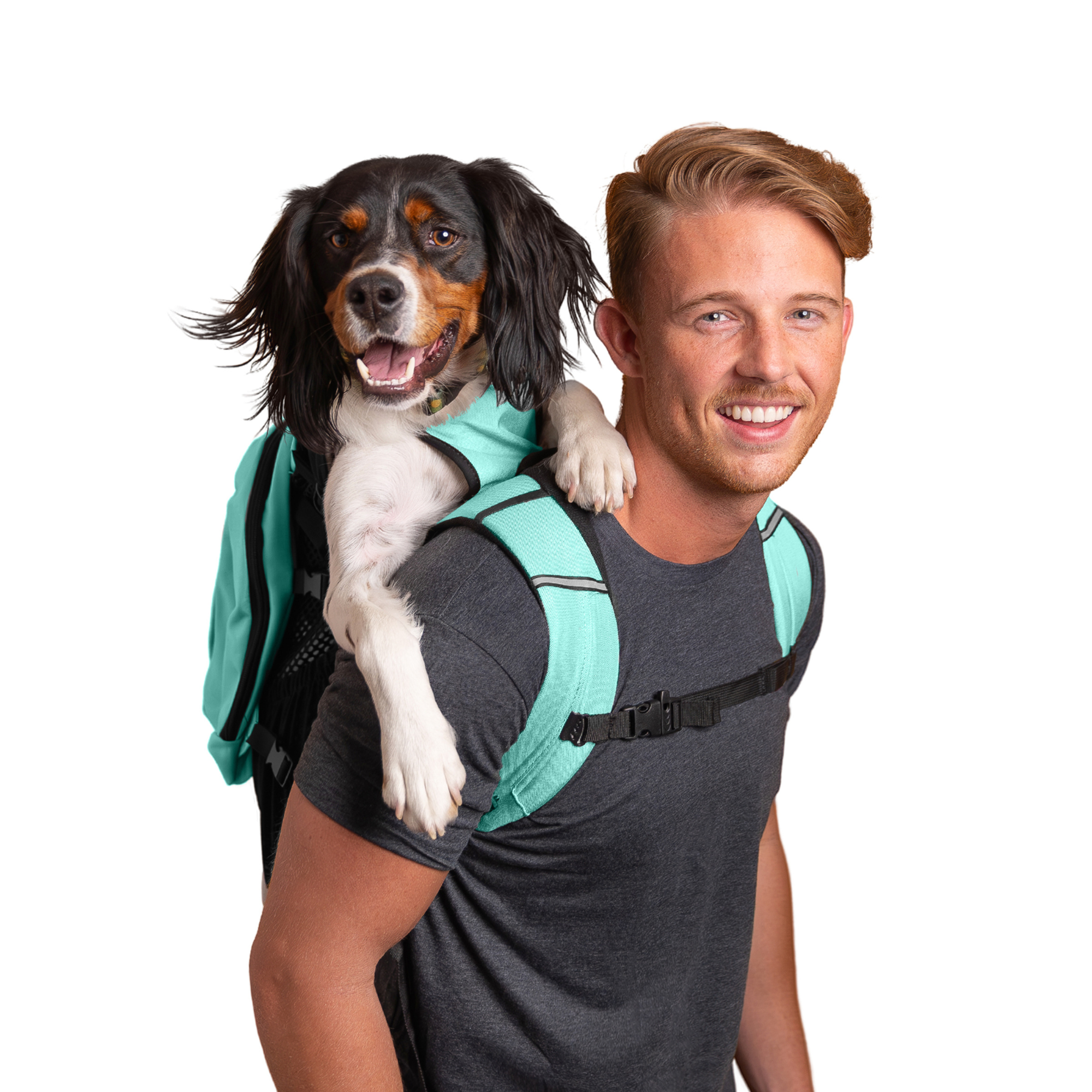 K9 Sport Sack AIR Plus　Lサイズ〈ミント〉 Amazon.com : K9 Sport Sack Plus 2 - Large, Summer Mint
