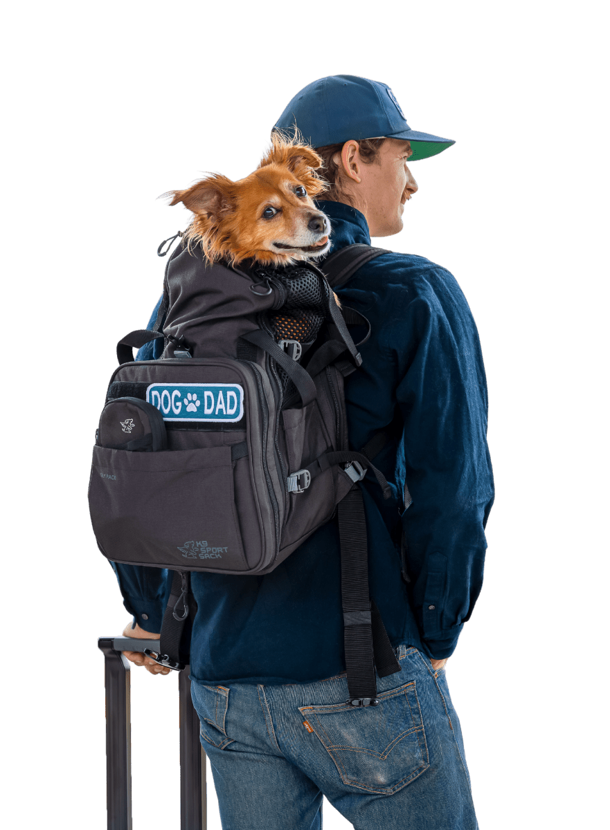 Sky Pack Convertible Dog Backpack