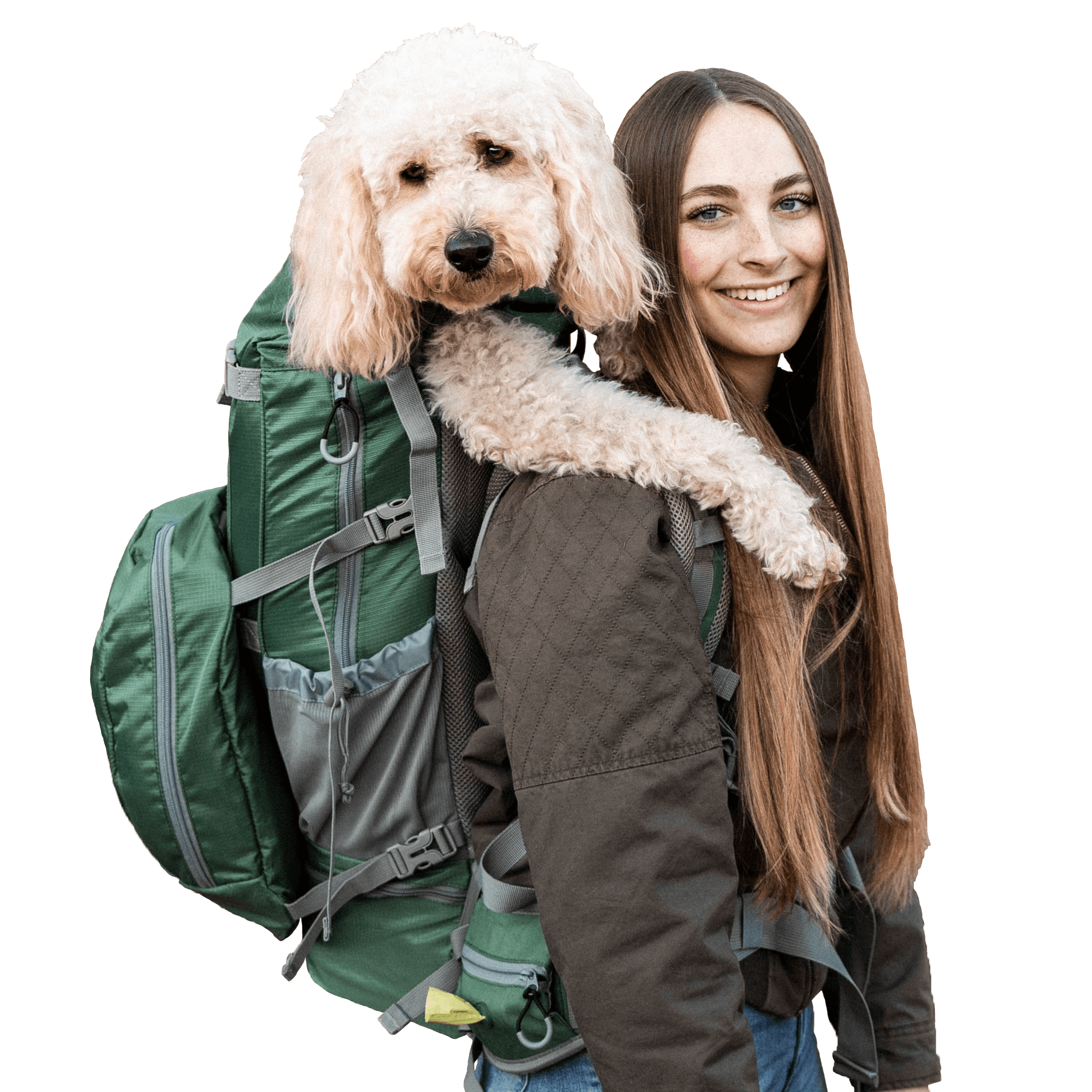 Dog Backpack Carrier Large Dog Backpack Carrier Brodie One Little