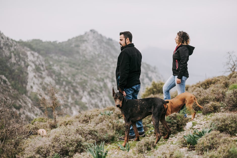 Top Dog Carriers for Biking: Ride with Your Pup Safely!