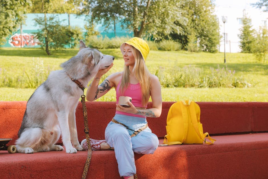 Find the Best Portable Pet Carrier for Your Travels!