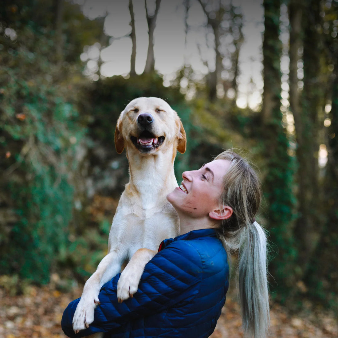 7 Surprising Ways to Make your Dog Happy