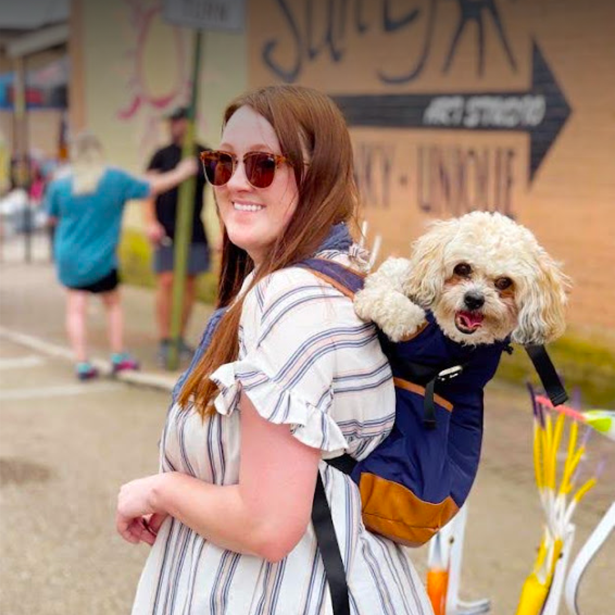 Suburban Dog Mom
