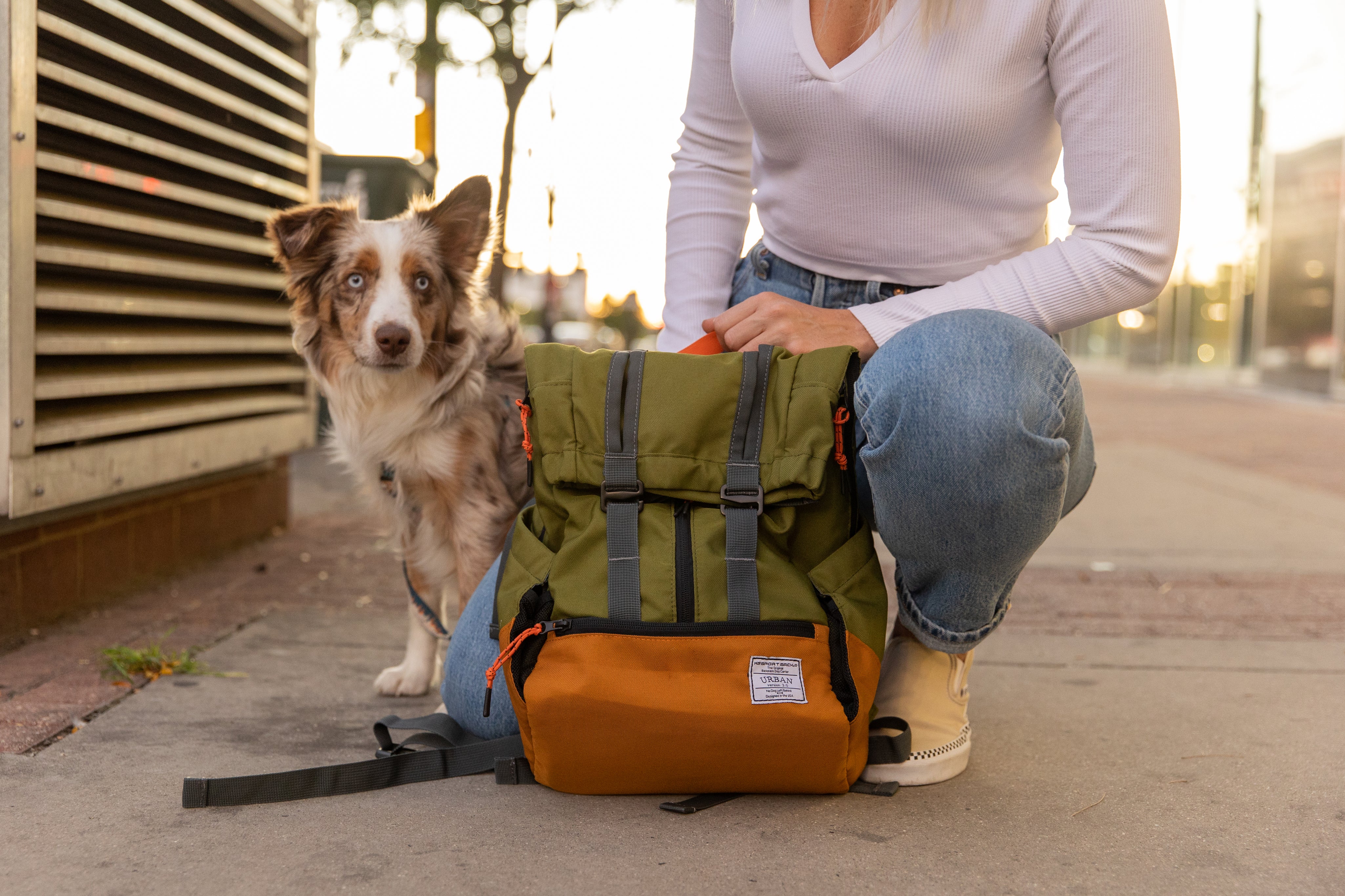 The Ultimate Guide to Poodle Backpack Carriers