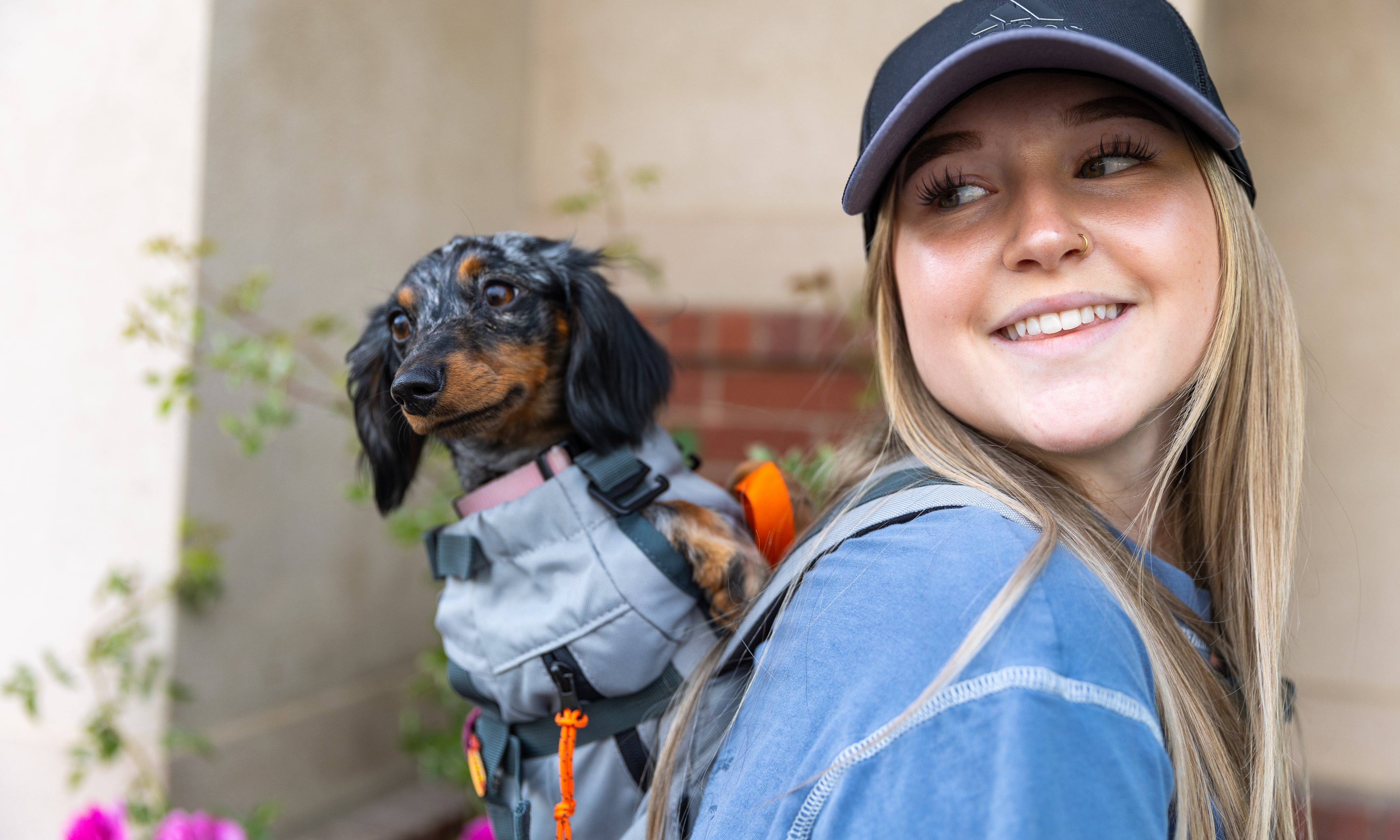 Are dog backpack carriers bad for dogs?