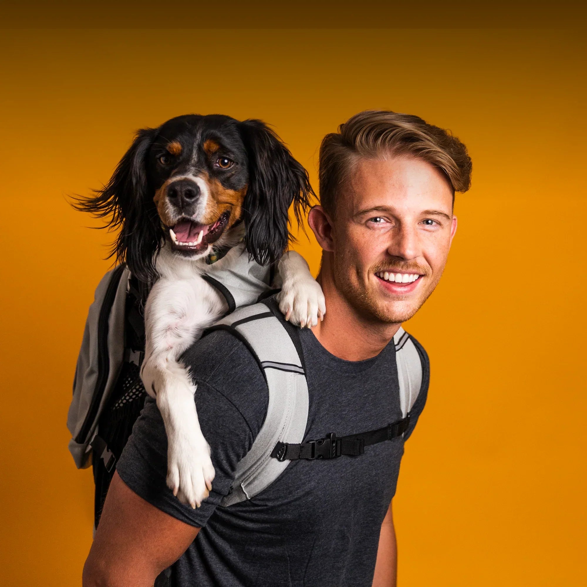 Tips and Tricks While Using Your K9 Sport Sack Carrier