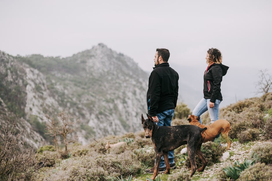 Discover the Top-Rated Dog Backpacks for Adventure!