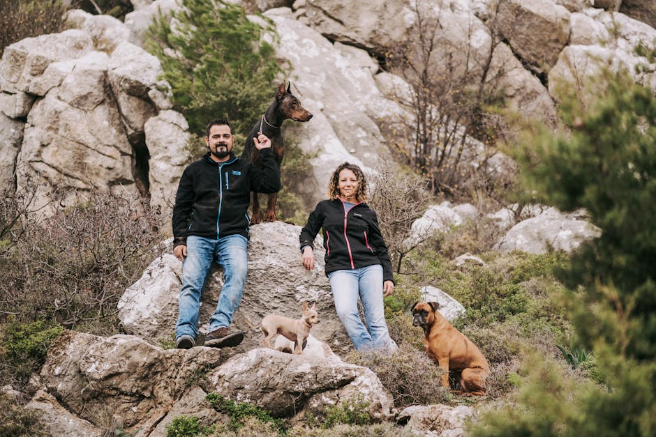 K9 Sport Sack Reviews: The Ultimate Guide for Pet Owners