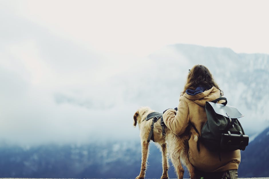 Top Dog-Friendly Travel Gear for Your Adventures!