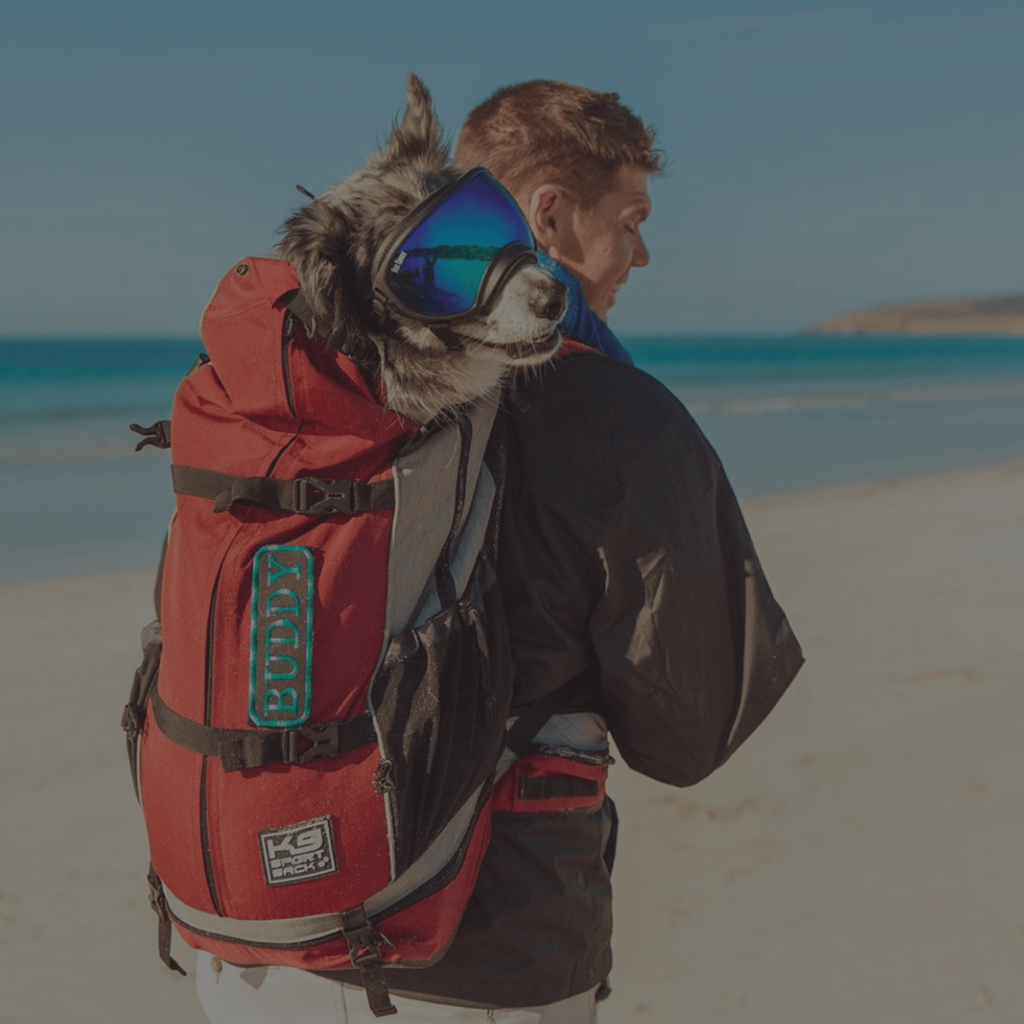 Dog Essentials | Must‑Have Gear for Active Dogs