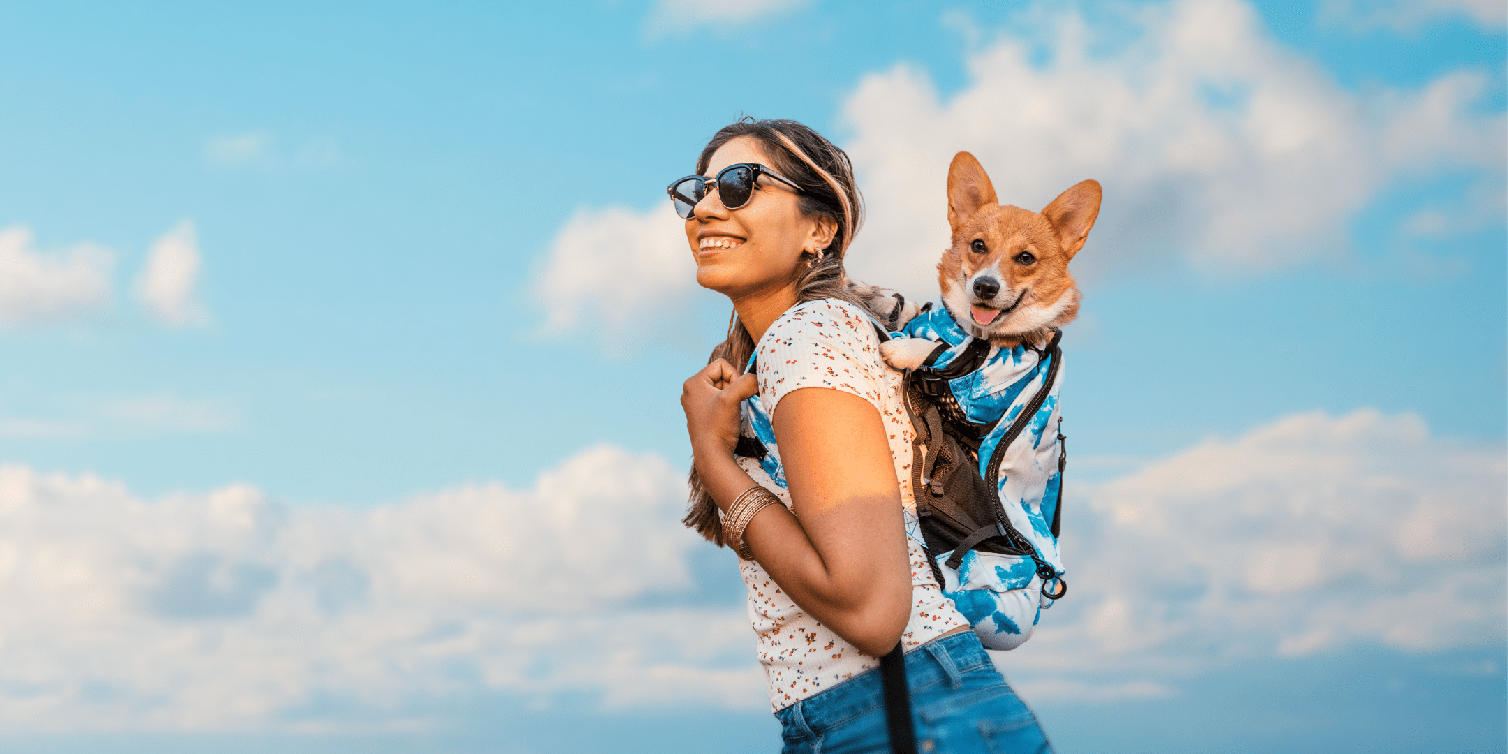 Corgi Collection