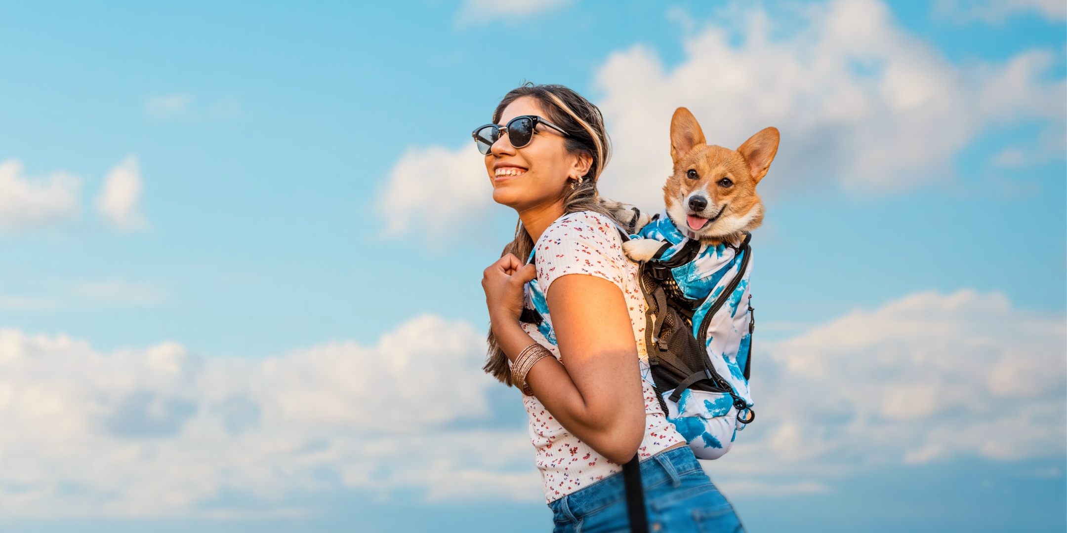 Corgi Collection