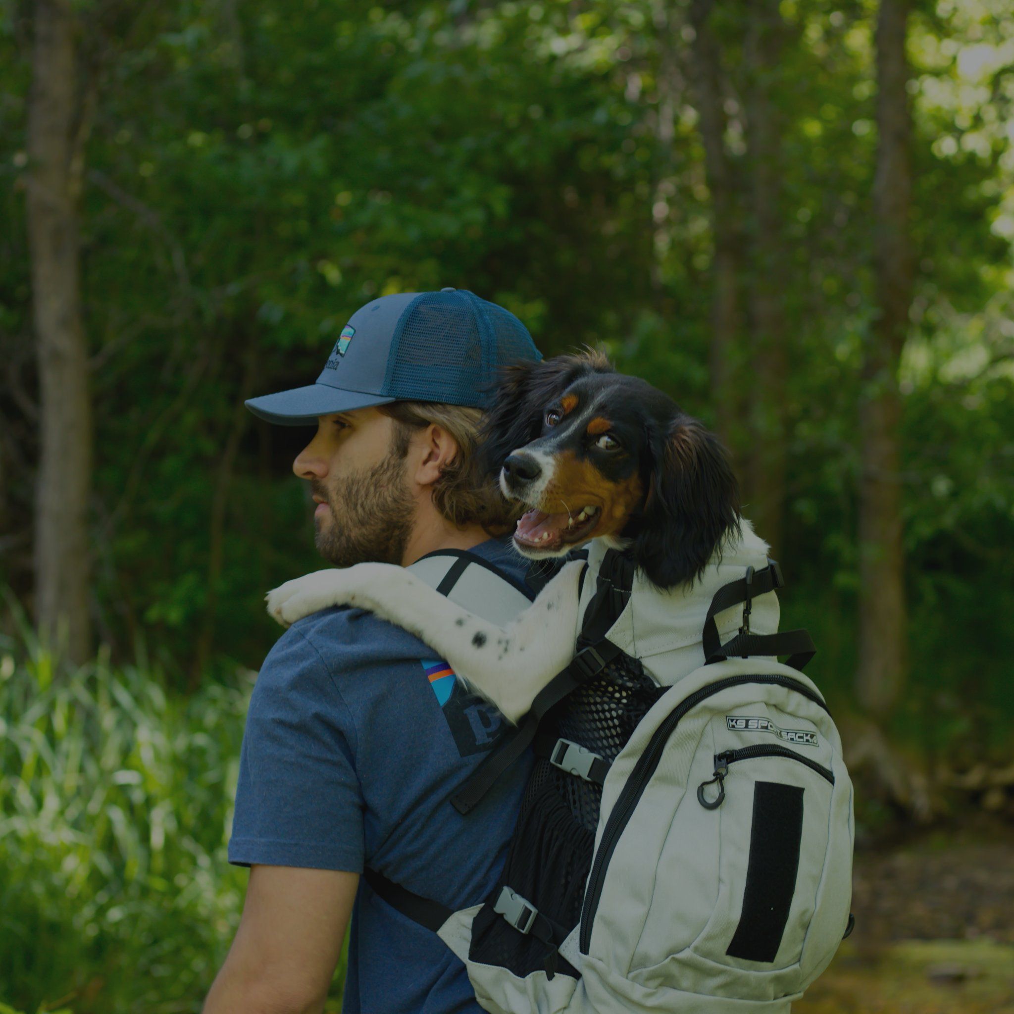 Vet‑Approved Dog Carriers & Backpacks – Shop Carriers