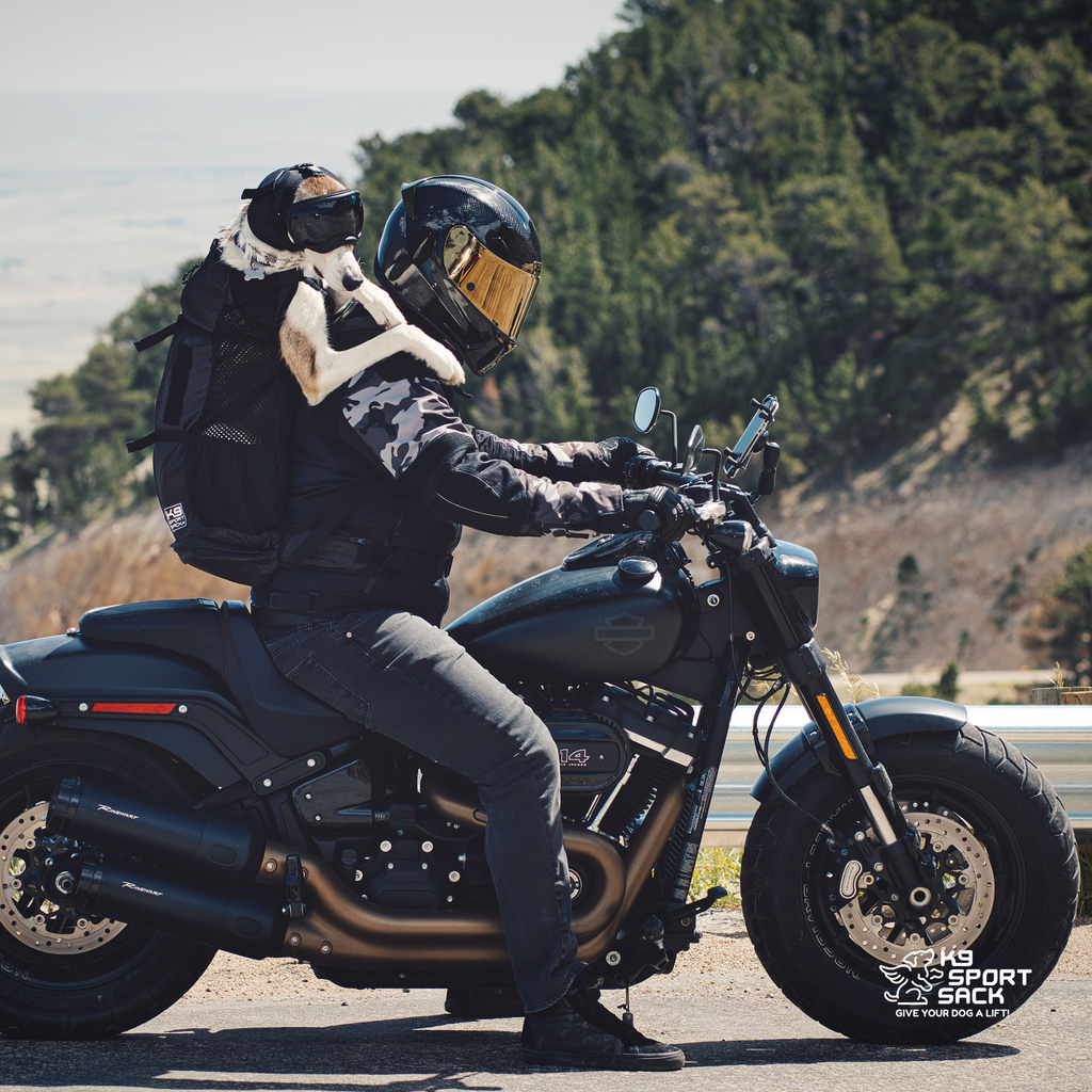 #color_midnight-black