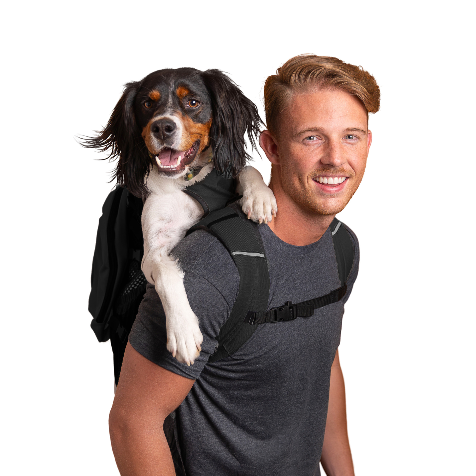 K9 スポーツサック プラス2 ブースターブロック付き Sサイズ K9 Sport Sack ® PLUS 2 - Dog Carrier | K9 Sport Sack™