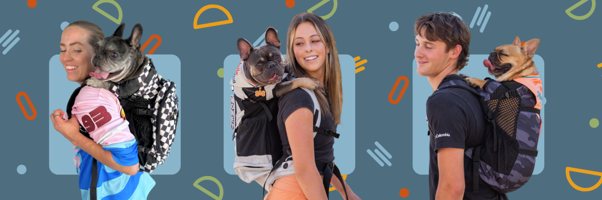 Frenchie_Banner_5cb35505-a4f9-4a61-84b9-35f2ddb116c7.png