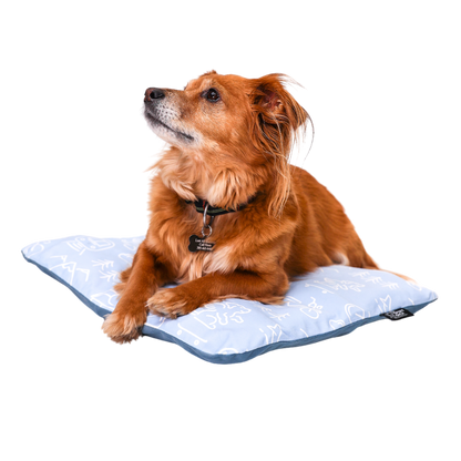 Sleeper | Inflatable Dog Bed with Washable Cover