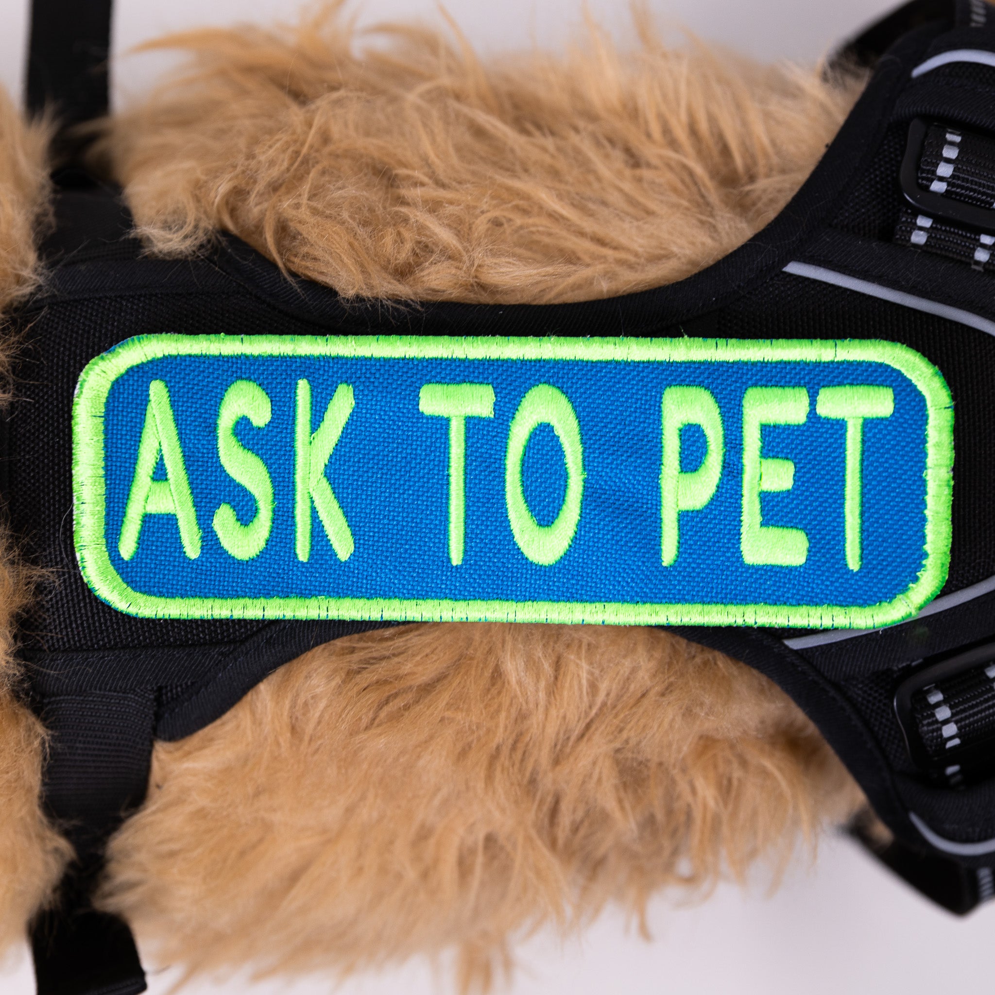 Ask to Pet 2x6 Patch