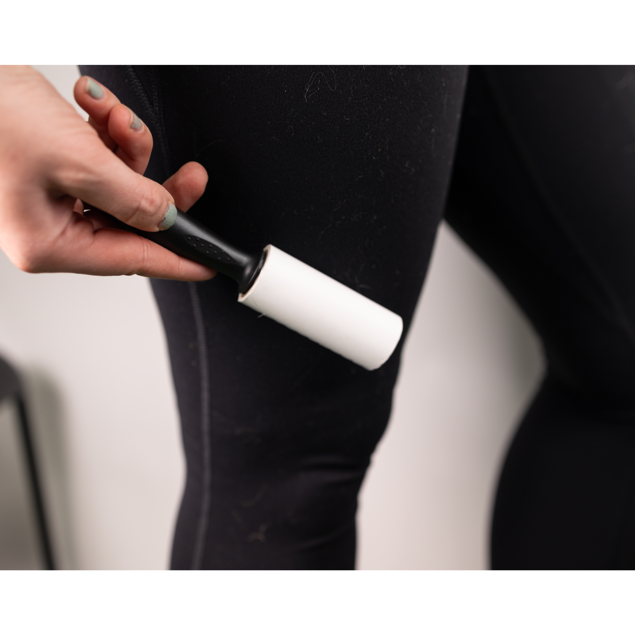 Travel Lint Roller