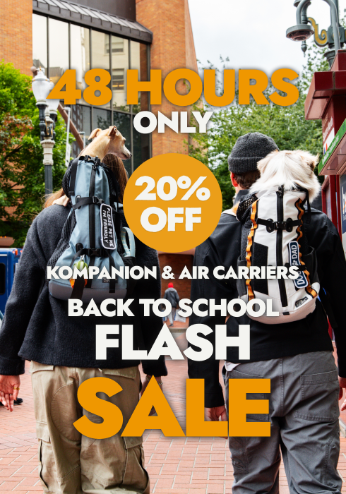 Promotional sale graphic showing two people from behind wearing backpacks on a brick walkway outdoors, with large overlaid text reading '48 HOURS ONLY', '20% OFF', 'KOMPANION & AIR CARRIERS', 'BACK TO SCHOOL', and 'FLASH SALE'.
