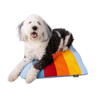 Sleeper | Inflatable Dog Bed with Washable Cover