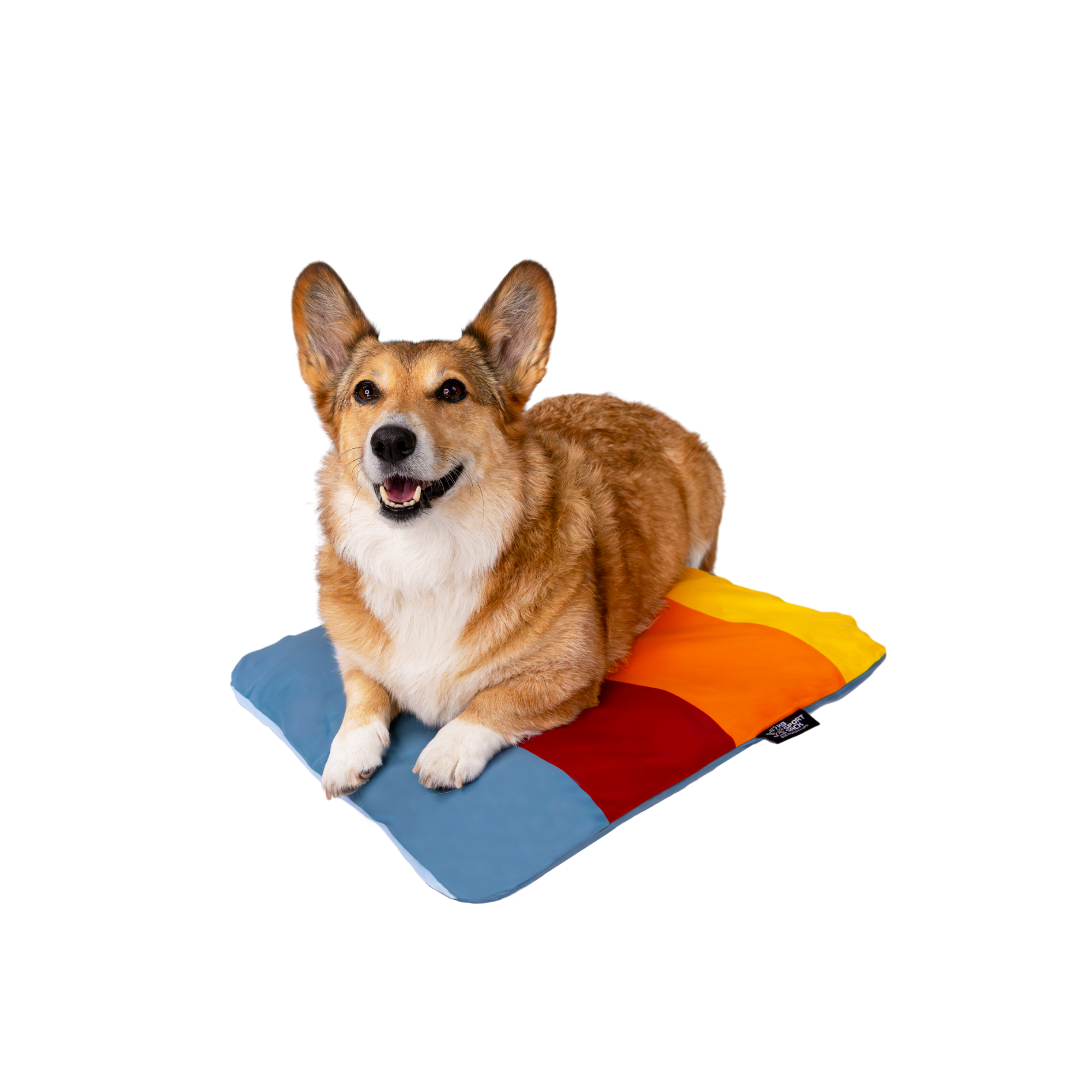 Sleeper | Inflatable Dog Bed with Washable Cover