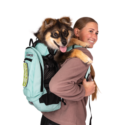 Plus 2 | Dog Carrier with Removable Storage