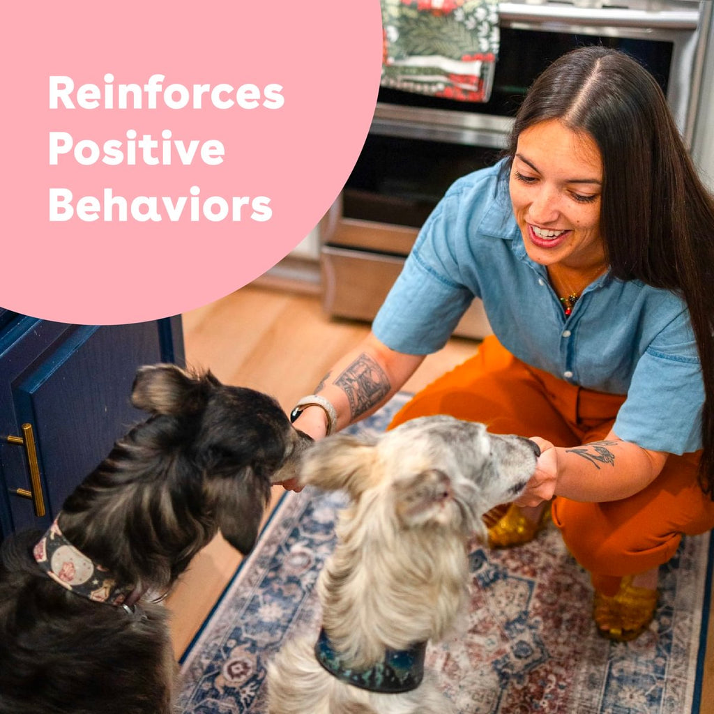 Pupford Freeze Dried Training Treats