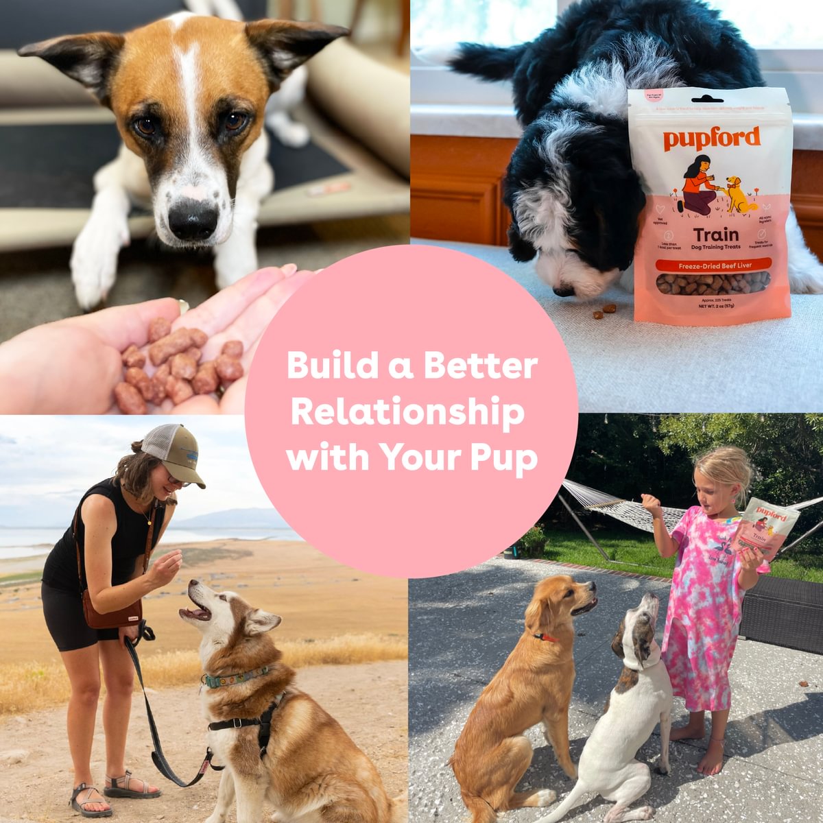 Pupford Freeze Dried Training Treats