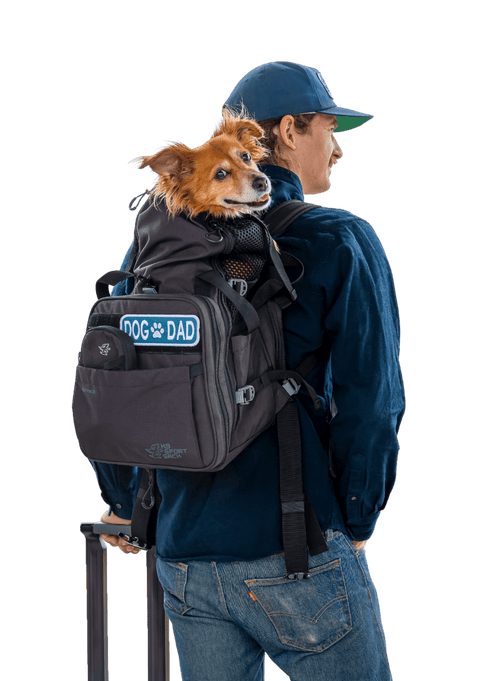 Sky Pack Convertible Dog Backpack