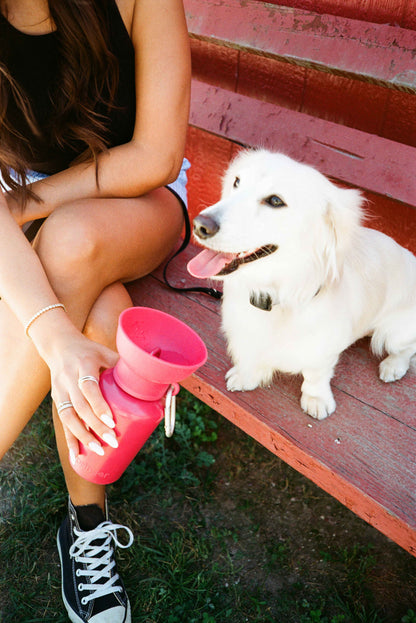 Springer® 20 ounce Flip Dog Travel Water Bottle