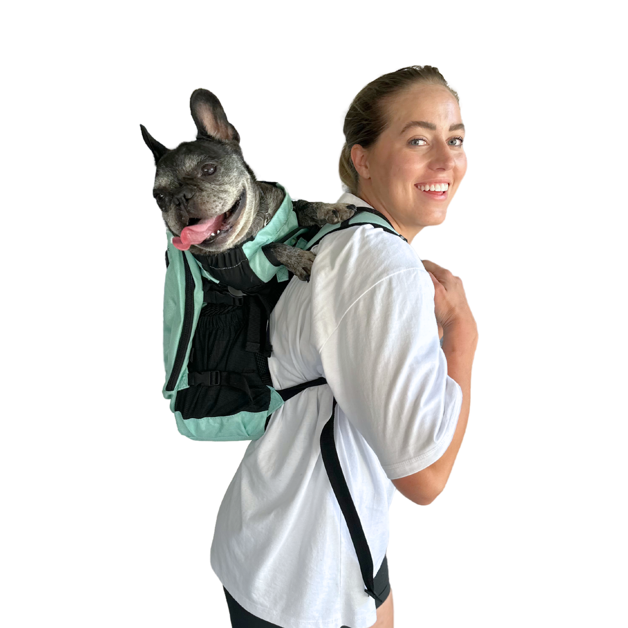 Plus 2 | Dog Carrier with Removable Storage