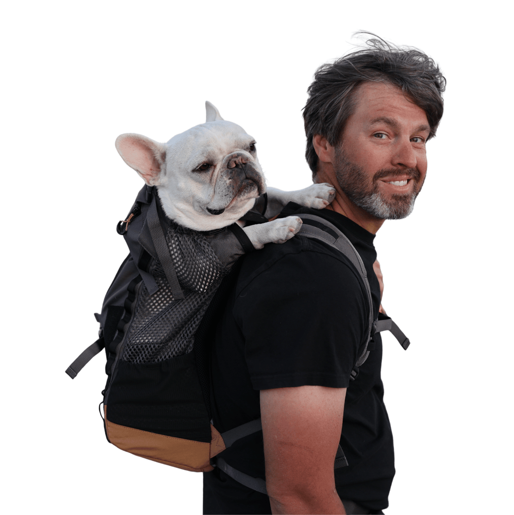 Kompanion | Upgraded Carrier with Added Padding and Comfort