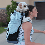Kompanion | Upgraded Carrier with Added Padding and Comfort
