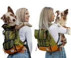 Urban 3 | Dual Use Dog Carrier & Traditional Backpack