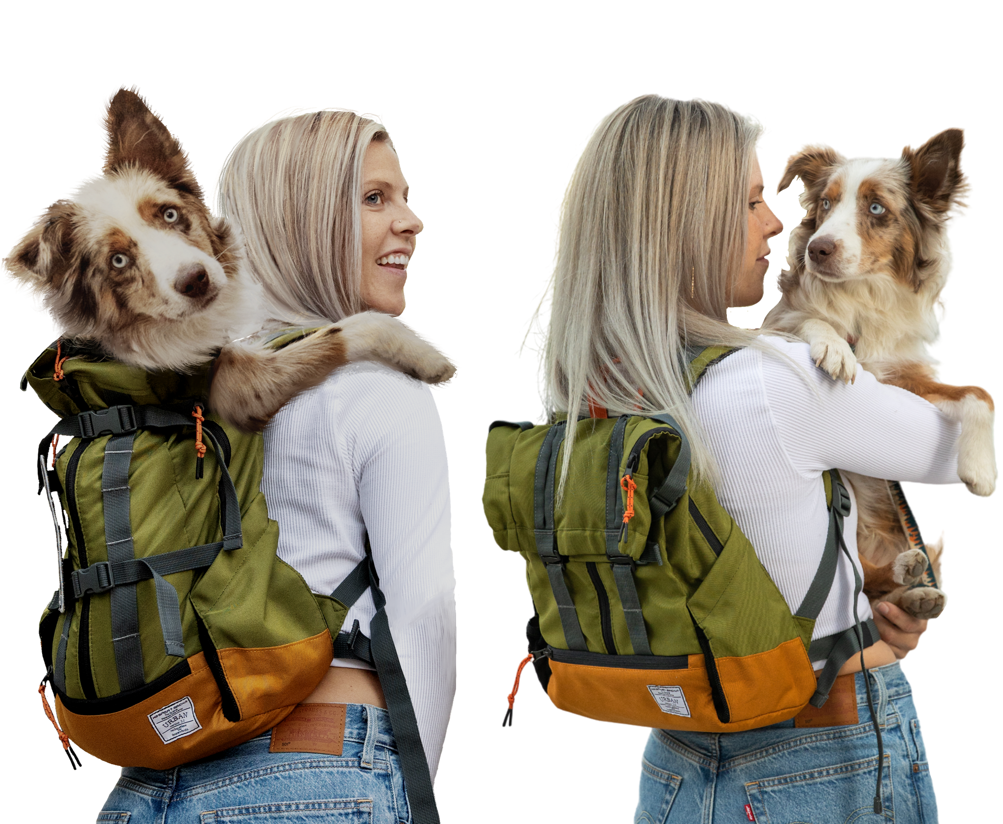 Urban 3 | Dual Use Dog Carrier & Traditional Backpack