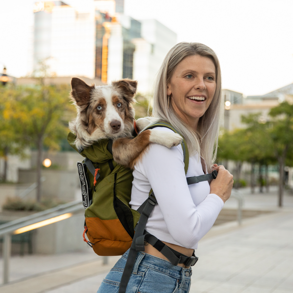 Klearance Urban 3 | Dual Use Dog Carrier & Traditional Backpack